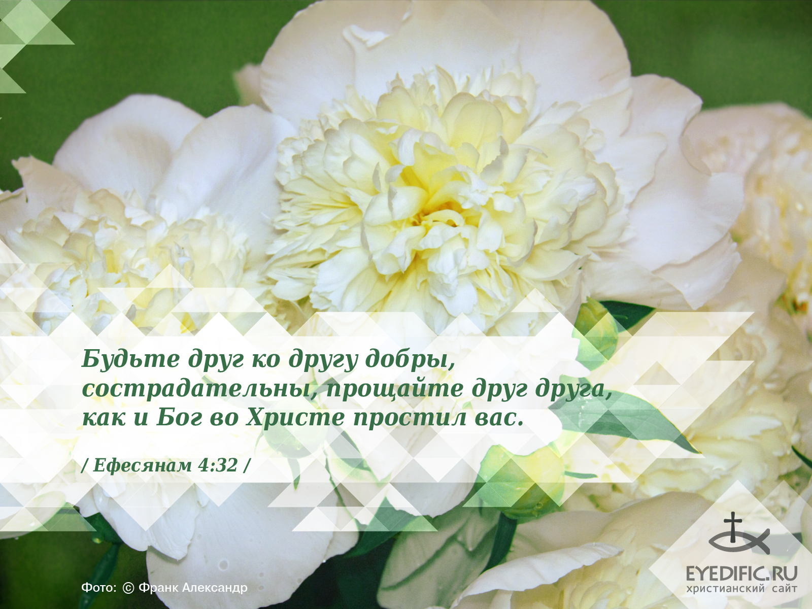 Детская вера стих Детская вера стих