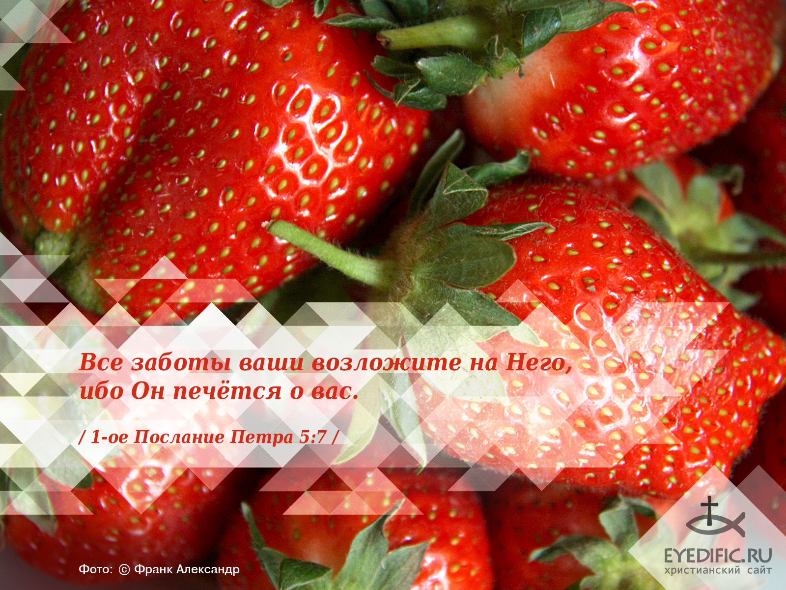 Детская вера стих Детская вера стих