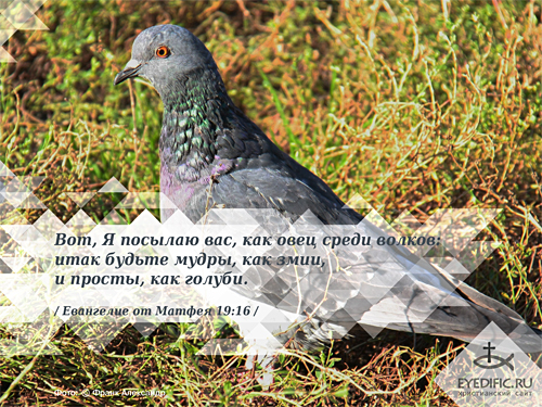 Любимой учительнице открытка Любимой учительнице открытка