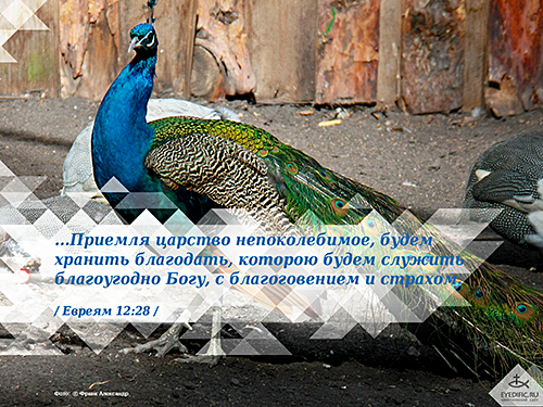 хранимая благодать. чудеса православия. хранимая благодать. хранимая благодать. милости божьей и благодати.